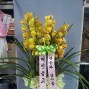 와이엠이앤지