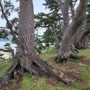 해넘이길 이미지