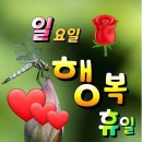 하루의 행복 이미지