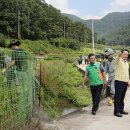 제31사단 503여단 이미지