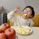 안동청송사과