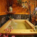 오색연가 이미지