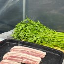 고산골 2 | 대구 고산골농원, 하우스 미나리삼겹살 노포 맛집