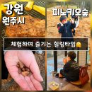 강원특별자치도청소년수련원 본관 | 여행 추천 숲해설 족욕체험 바베큐하며 즐기는 힐링타임 - 피노키오숲 패키지 자연휴양림 (강원 원주시)