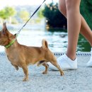 수정동물병원 이미지