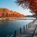 양평 가볼만한곳 베스트10 이미지