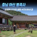 천년숲동로(서) | 충남 아산) 봉곡사 주차장 팁! 아이와 부모님 동반 전 꼭 알아야 할 천년비손길 오르막 후기