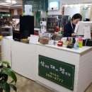 사파동266 이미지