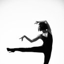 하이코치 이미지