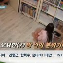 둥지여행사 네이버블로그