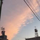카이치 네이버블로그