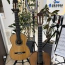 클래식&포크기타(실용) | 강서구 기타학원 샘실용음악학원 강사진 및 기타의 종류 설명