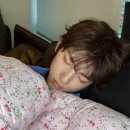 똥강쥐 이미지