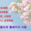 도원꽃집 이미지