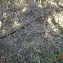 올레 쉼터 이미지