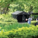 숲속향기캠핑장 이미지