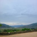 도시고양이생존연구소 이미지