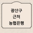 하남동주민센터 | 광주 광산구 근처 농협은행 추천 위치 영업시간 정보 농협카드 체크카드 지역농협 통장 후기