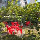 송천농장 | [경기 고양시 토당동: 능곡송천매운탕]-16년 전통의 맛, 민물매운탕-장사의 신(250623방송)