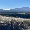 제주집 이응 이미지