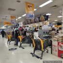 스피드메이트 이마트수지점 | 이마트 고래잇 페스타 전단지 할인행사 상품