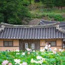 대진항 대게공원 이미지