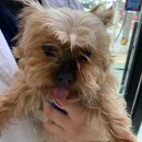 서울특별시 관악구 난곡동주민센터 이미지