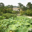 한국 정원의 진수를 만나다, 용인 호암미술관 희원 이미지