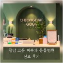 청담동물병원 | 강아지 알러지검사 비용 청담고운피부과동물병원 추천