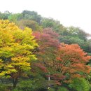 천진암 단풍구경하세요,(경기광주) 이미지