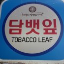 우리동네담뱃잎가게 이미지