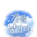 쥬쥬펫살롱 이미지