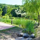 거북이동산 이미지