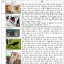 비나리목장 이미지