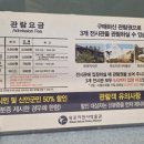 목포자연사문화박물관 | 목포 아이와 재밌는 박물관 자연사박물관 후기 미디어 아트 시간표 7살 아이가 좋아한 공룡박물관