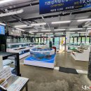 홍도회수산 이미지