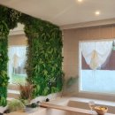 고립낙원 이미지