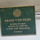 소나무집 이미지