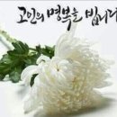 앞산친구들 짱돌회장님(이영미) 어머니께서 별세하셨습니다 이미지