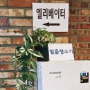 이레스테이 이미지