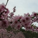 복상농장 이미지