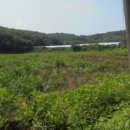 연천군마전리보건진료소 이미지