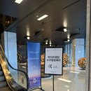 와이즈 | 2026 와이즈웨딩 박람회 후기