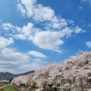 상주추어탕 이미지