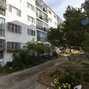 동해약국 | 동해바다 아파트 한 채가 2400만원