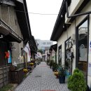 호텔 초원 이미지