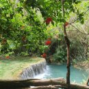 국수나무창신점 | 라오스 탐방하기 창신대학교 부동산금융학과 4학년 3박5일 핫플여행 엑티비티한 최고의 졸업여행 후기