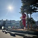 실비수산식당 | 가락시장 고래수산 대방어모듬회 1인분 미니사이즈 가성비 끝판왕 내돈내산