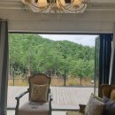 블랙트리 하우스 네이버블로그