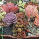 해림농장 이미지